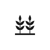 Plantation Zones